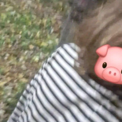 ♯ＣＡＭＥＬＬＩＡ ＸＶＩ✃✃