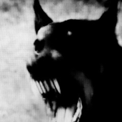 20 Piece ( J. Cole M y . L i f e)