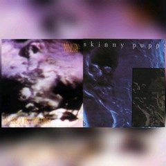 Ministry vs Skinny Puppy - Choking on a Flashback (HQ).mp3