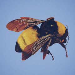 Tyler, The Creator - 911 (Alt. Instrumental)