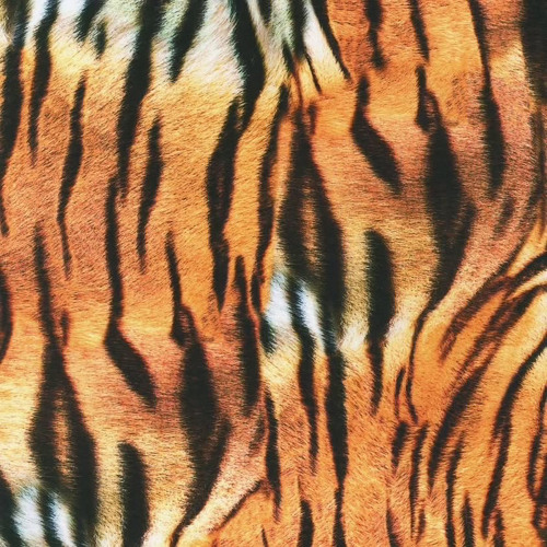 xanilondon - left right (diorwinter)