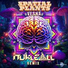 Spatial Plants - Vesna (Nukleall Remix) [COMING SOON PROMO]