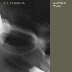 GUEST MIX : Nosap (Radio Flouka)