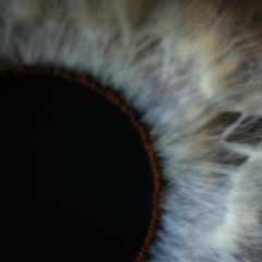 Dermatillomania (2017)