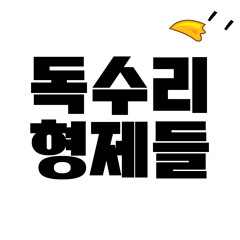독수리 형제들(Original mix)(Prod. HYUN)-독수리 형제들[OUT NOW=BUY]