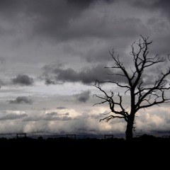 A Momentary Lapse Of Emptyness