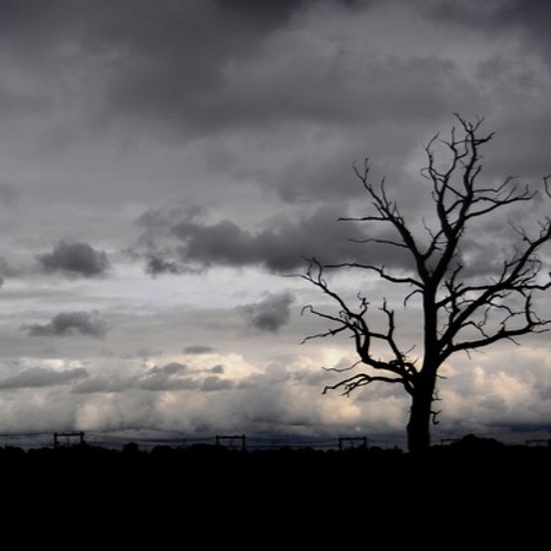 A Momentary Lapse Of Emptyness