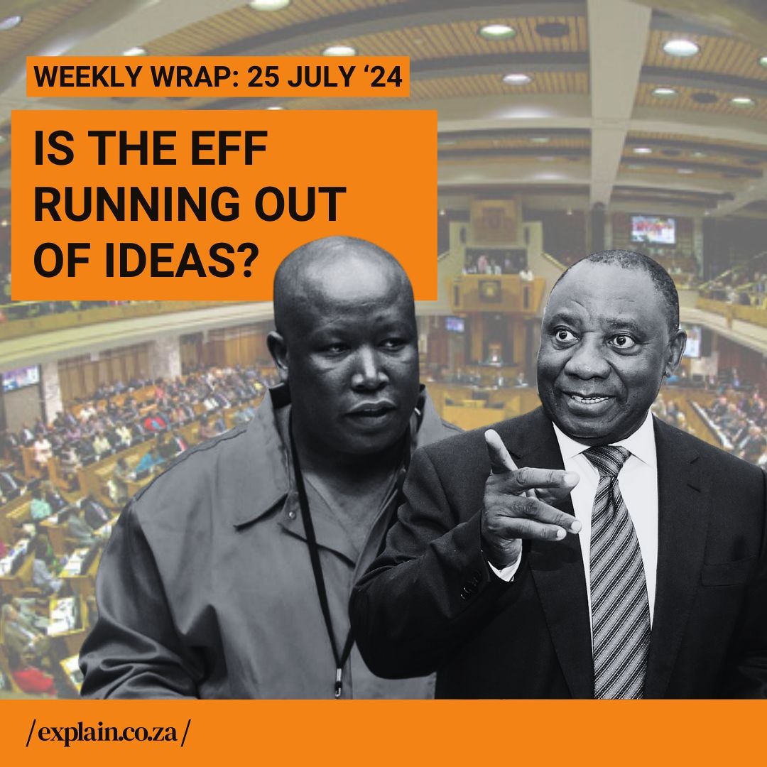 Is the EFF running out of ideas? 25 July 2024