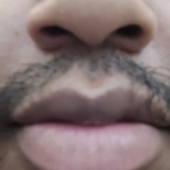 The Possibly False Woes of the Stachelicker (Dead Bodies)