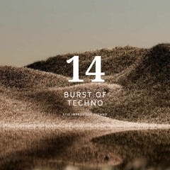 Burst Of Techno - #14