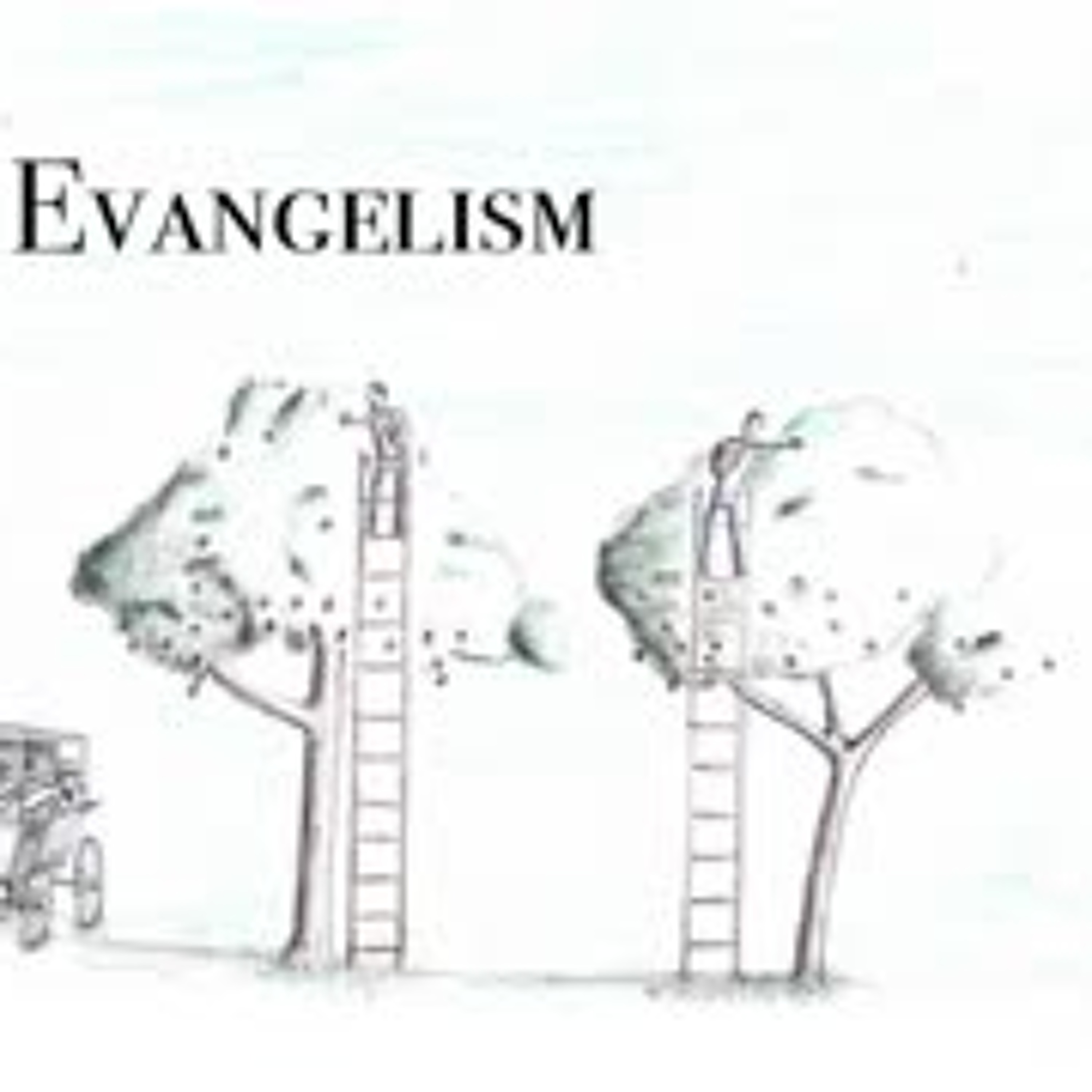 Hope For Wondering Amish