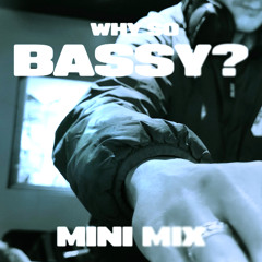 WHY SO BASY VOL 1.5 - MINI MIX (MINIMAL/DARK DNB)