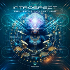 Introspect - Connection | OUT 4 Aug 2023