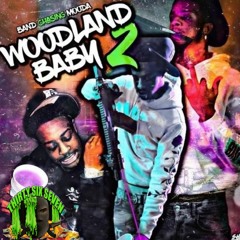 BandChasingMooda - Crazy Thoughts (Woodland Baby 2)