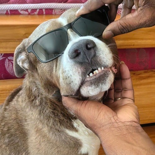 Konshense - Do Sum ( Remix 2025 )
