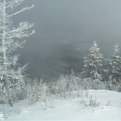 Ice Cold Montana