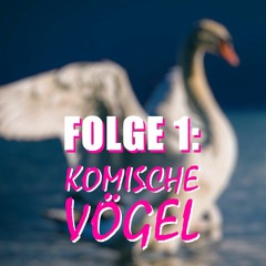 Folge 1: KOMISCHE VÖGEL