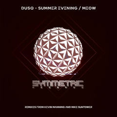 PREMIERE: Meow - DUSQ (Mike Suntower Remix) [Symmetric Records]