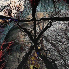blairwitch [P+ greentop]