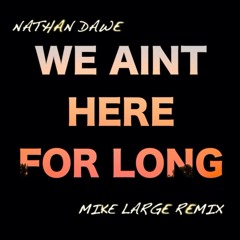 We Aint Here For Long - Mike Large Remix