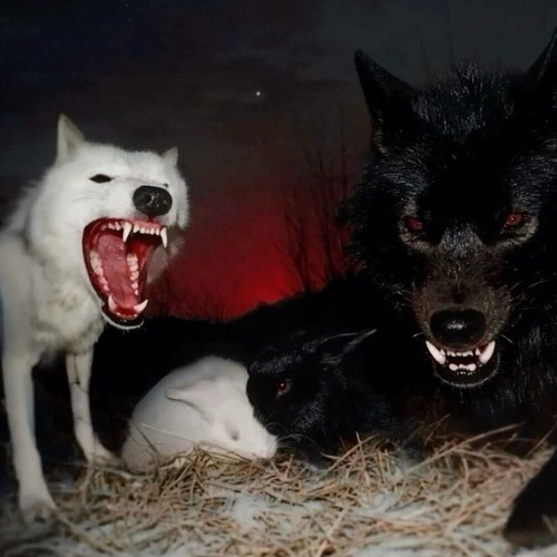 i don't know what i'm doing here