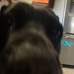 heat wave - 8_6_25, 12.28 AM