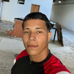 HOJE EM DIA É DIFÍCIL ENCONTRAR X 157 NO COROLLA ROUBADO