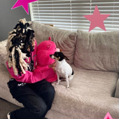 dozyn - stack prod.bina