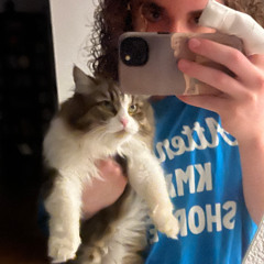 beatclip billy - 2025 i'm goin tinny tin bobbin - ( 0friends 0melodies 0tea )