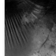 aloysius *2023 (diego777)