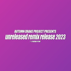 The "Why Not?" Unreleased Remix Release 2023 Edition