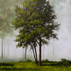 pensive forrest