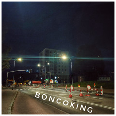 BongoKing - Rafal's synth