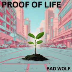 Proof of Life - CrowsNest Master