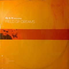 Flip N Fill - Field Of Dreams 2020 (Lee Wright Remix)