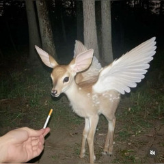 bambi