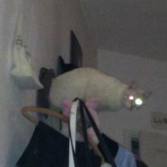 be0b8ten333xqausflug