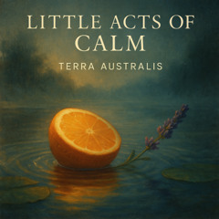 Little Acts of Calm