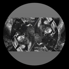 IARLTDT015 - Joton - Shadow Pulse
