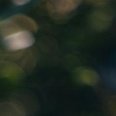 noiL