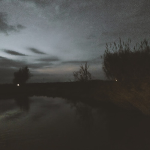previews. Nahal Kavand - Echoes of a Fading Existence | Lᴏɴᴛᴀɴᴏ Series