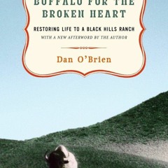 PDF Download Buffalo for the Broken Heart: Restoring Life to a Black Hills Ranch