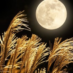 Pleine Lune des Moissons