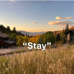 Stay - Open Soul Session Ft. Shreyes & Yentema