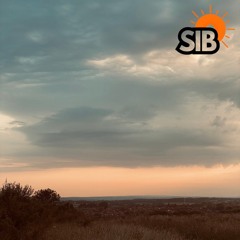 Charlie Sib - Sibssential Mix #007 - Sib Records