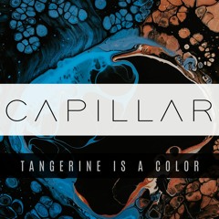 TANGERINE IS A COLOR