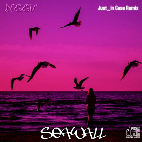Neev - Seawall | Just_in Case Remix