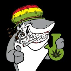 Reggae Shark(KOA Cover)