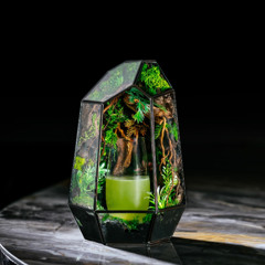 REC002 @LaPuta Seoul (2026-01-09)