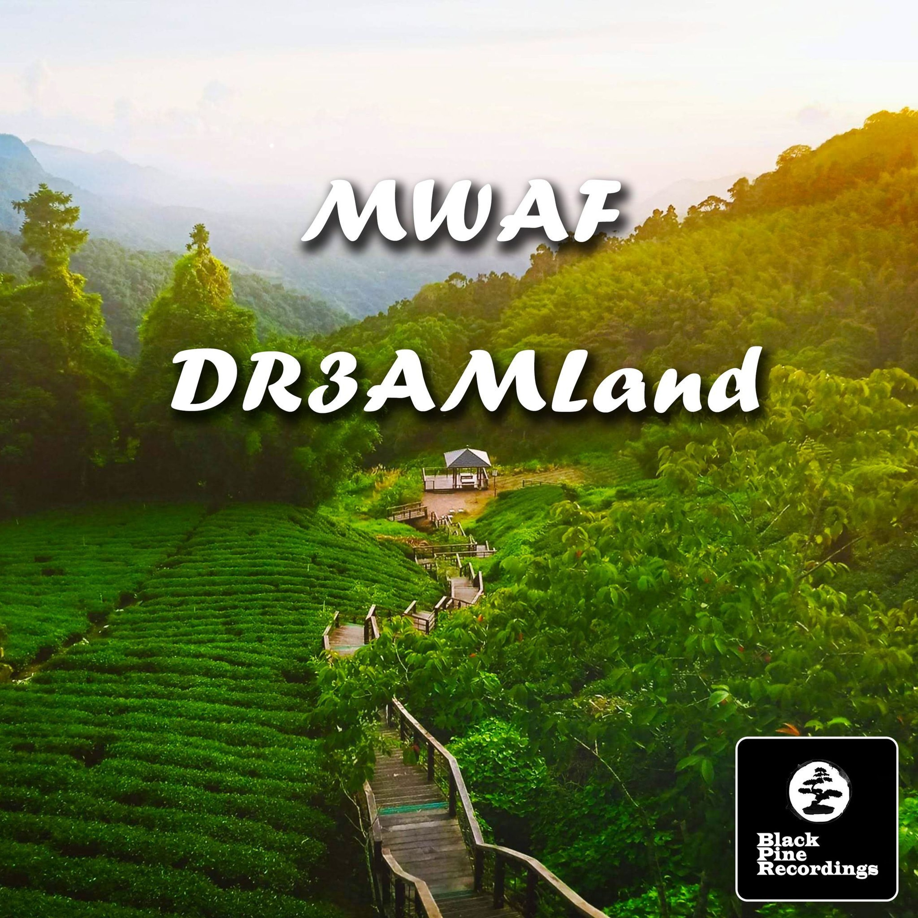 Track cover